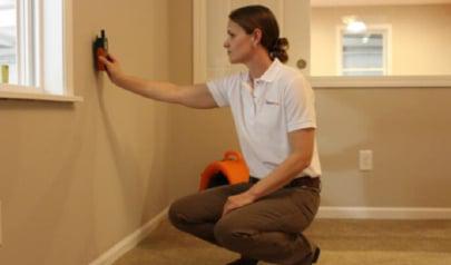 Becoming a Mold Inspector