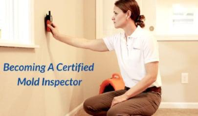 How to Become a Certified Mold Inspector