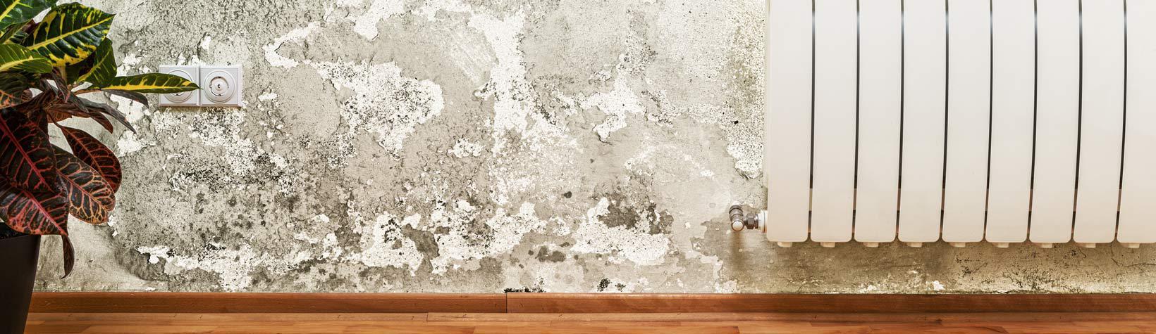 Wall Mold