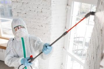 Remediation Franchise Profitability vs. Starting Your Own Business
