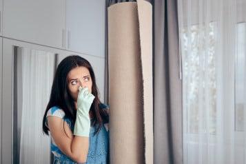 Is an Odor Removal Franchise Right for You?