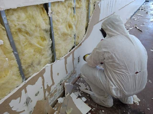 mold-remediation-in-progress.jpg