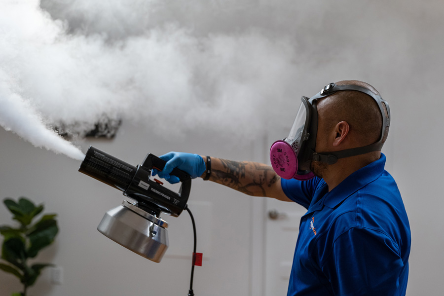 How to Start a Sanitizing Business That Thrives